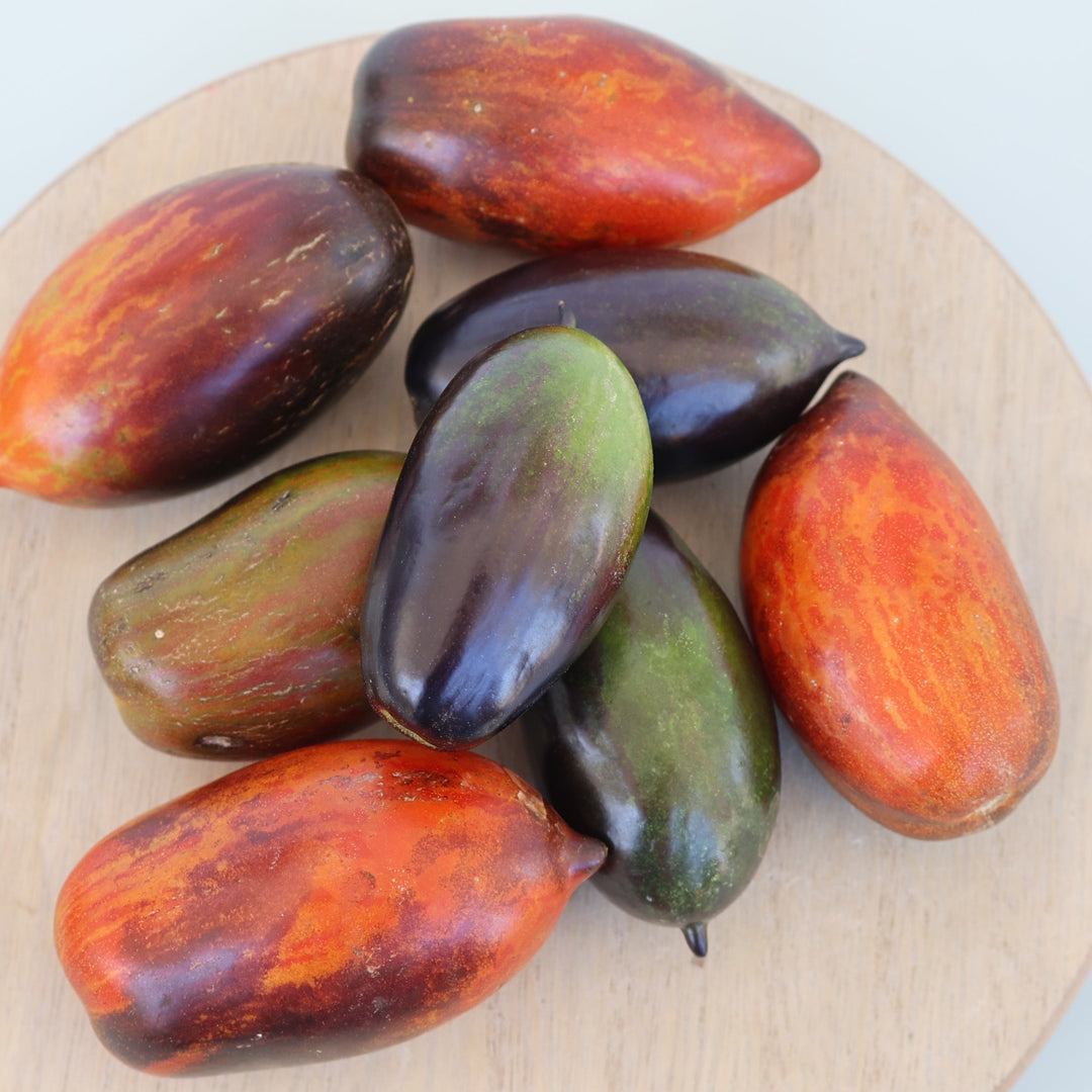 Black Out Roma Tomato