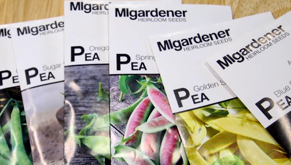 Seed packets on a table of all different types of peas.