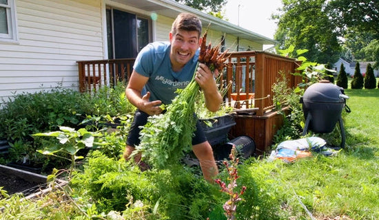 A man holding large, freshly harvested carrots.