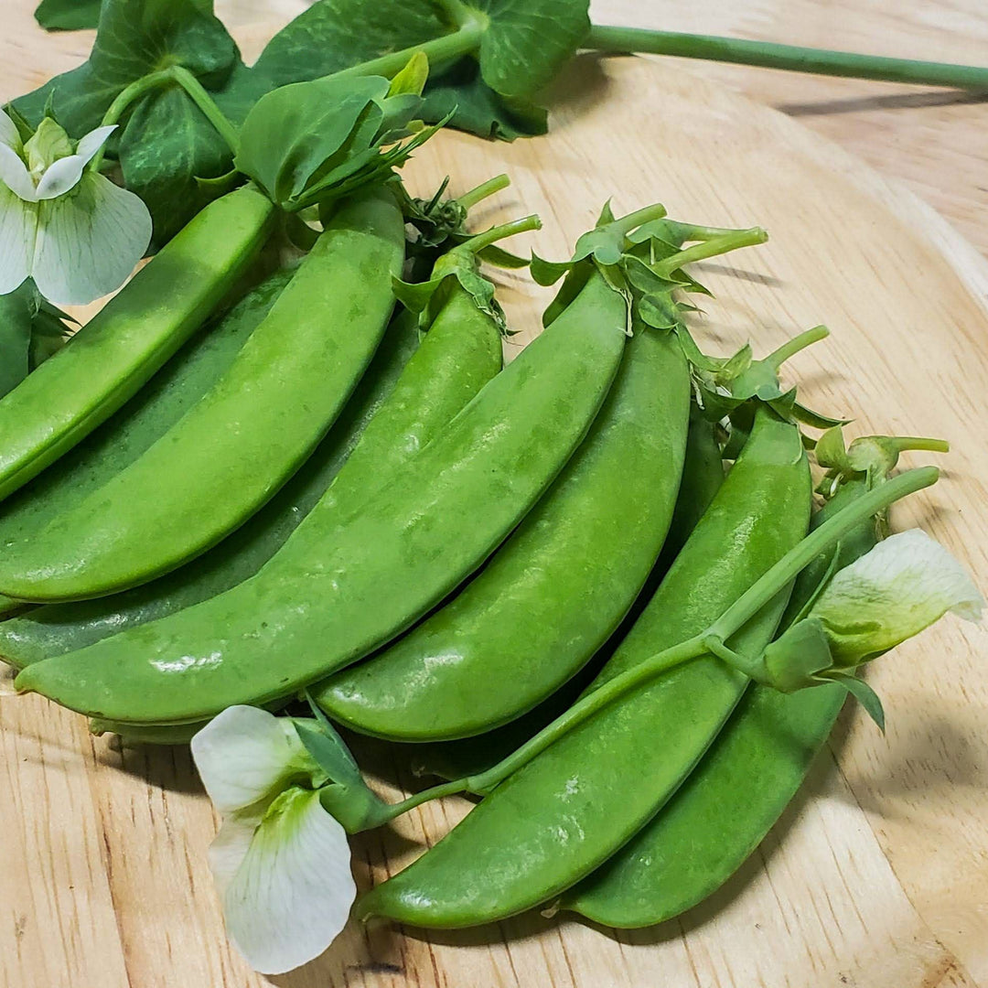 Sugar Snap Pea : 1/4 Pound
