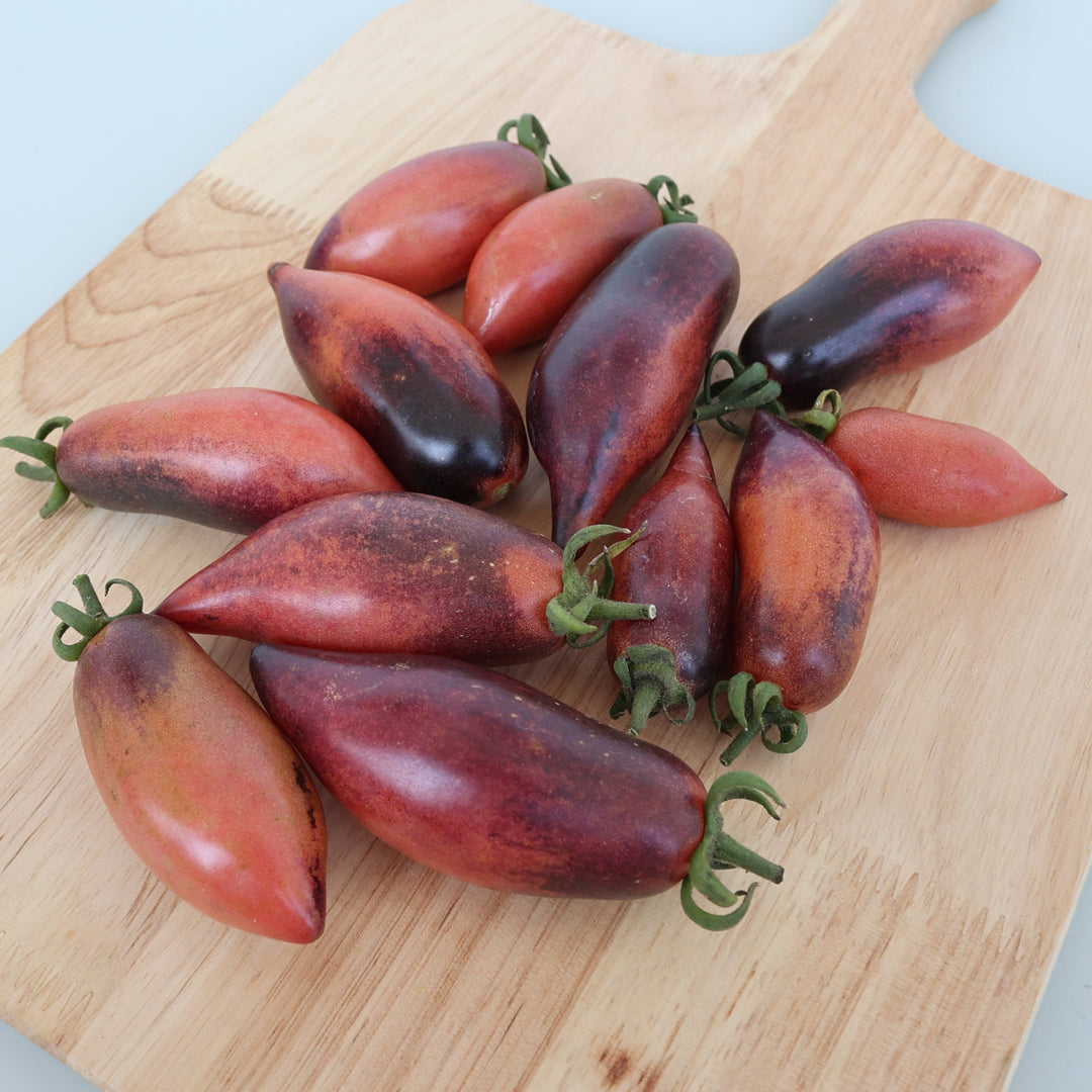 Plumsicle Tomato