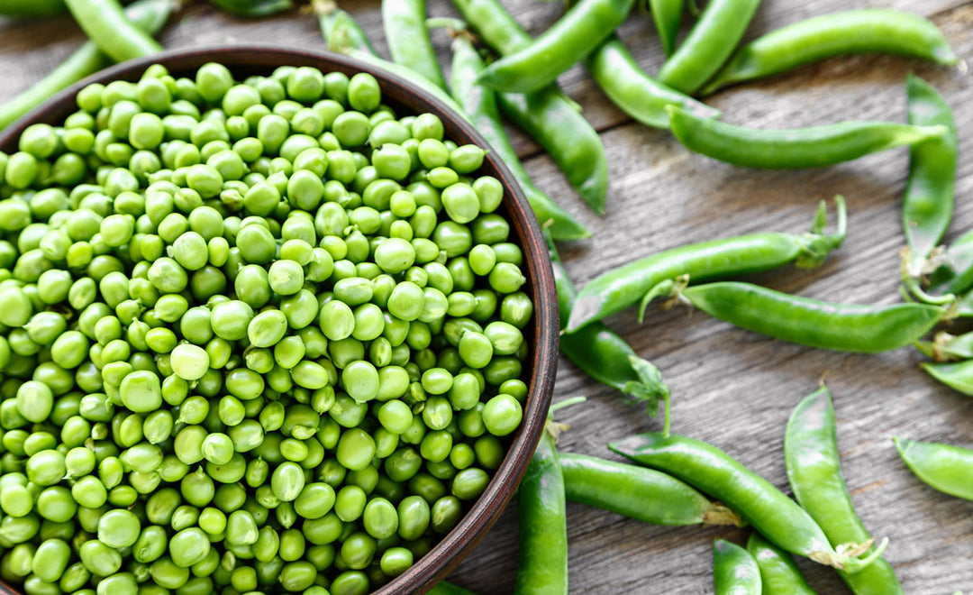 A bowl of freshly picked shelling peas.