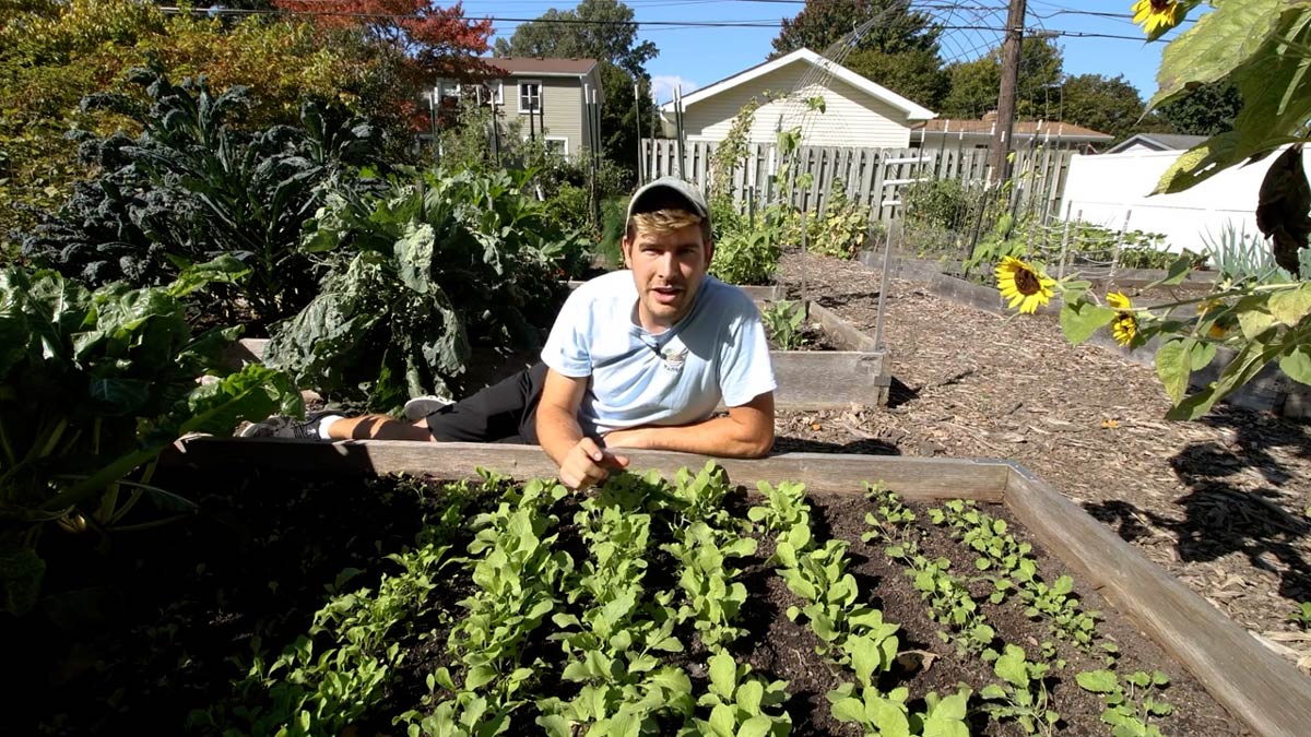 A man demonstrating succession sowing with radishes.