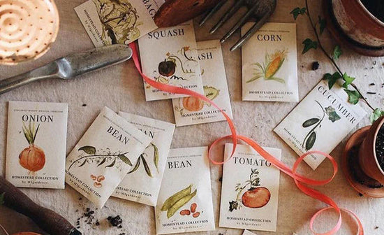 Various seed packets scattered on a table with gardening tools.